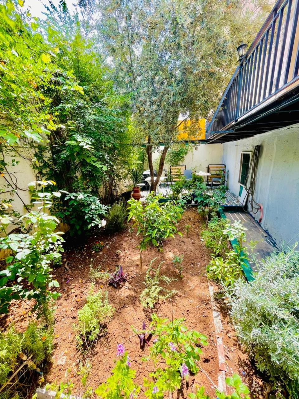 Dar Jardin Majorelle Fez מראה חיצוני תמונה